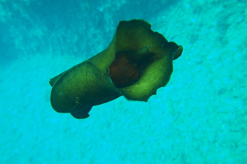 2016-09-30 14-03-27.JPG